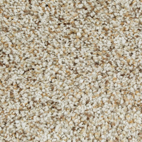 Mohawk SmartStrand Carpet - Image 7