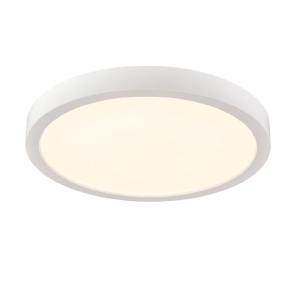 Typhoon CCT 7" Flush Mount - Image 2