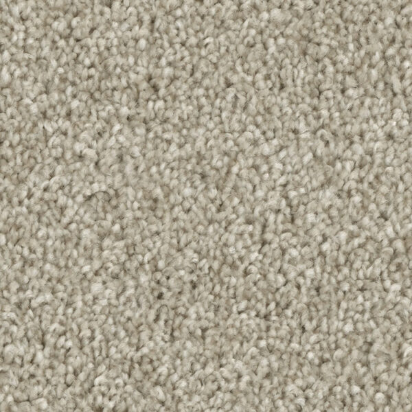 Phenix Tempt Carpet - Image 2