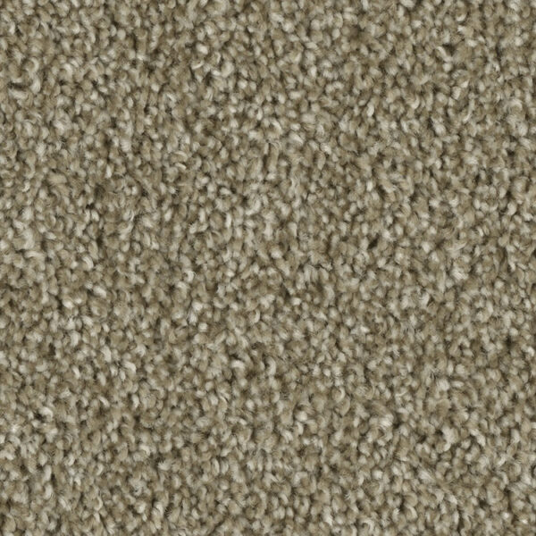 Phenix Tempt Carpet - Image 3