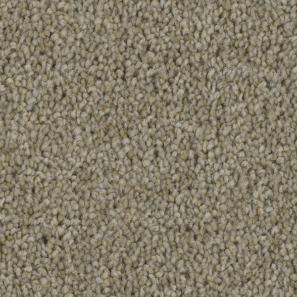 Phenix Tempt Carpet - Image 4