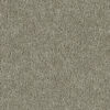 Phenix Tempt Carpet - Image 5