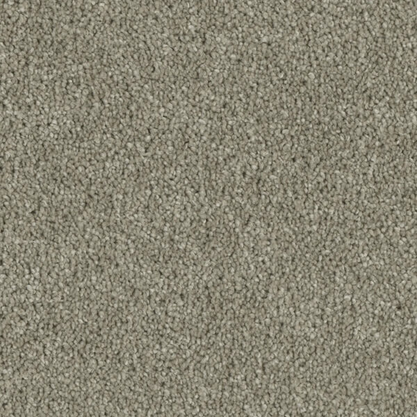 Phenix Tempt Carpet - Image 5