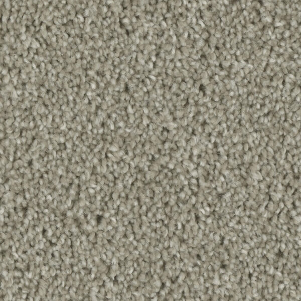 Phenix Tempt Carpet - Image 6