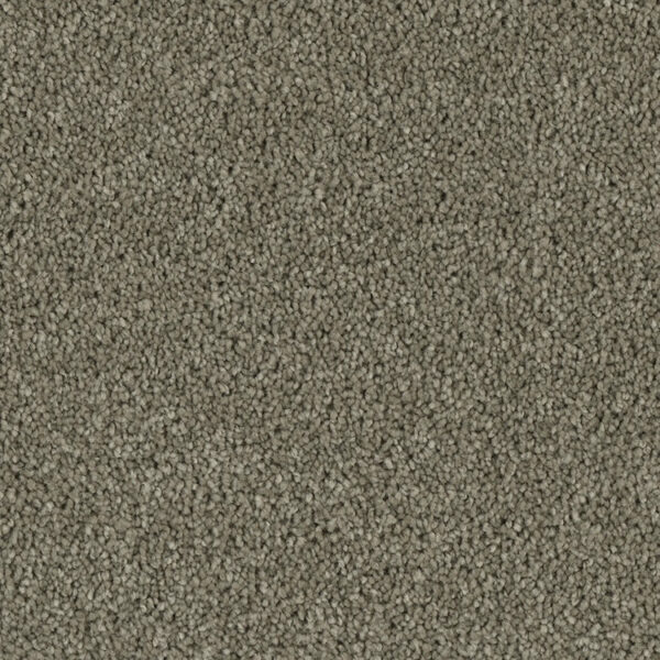 Phenix Tempt Carpet - Image 7