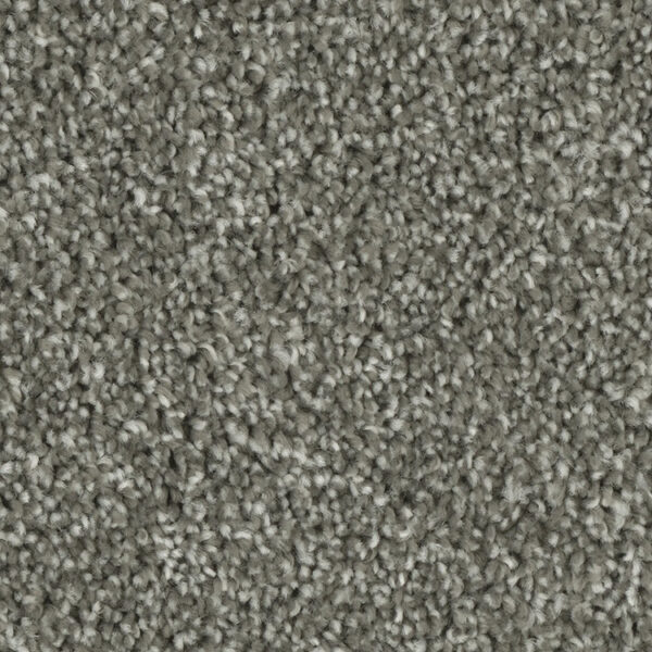 Phenix Tempt Carpet - Image 9