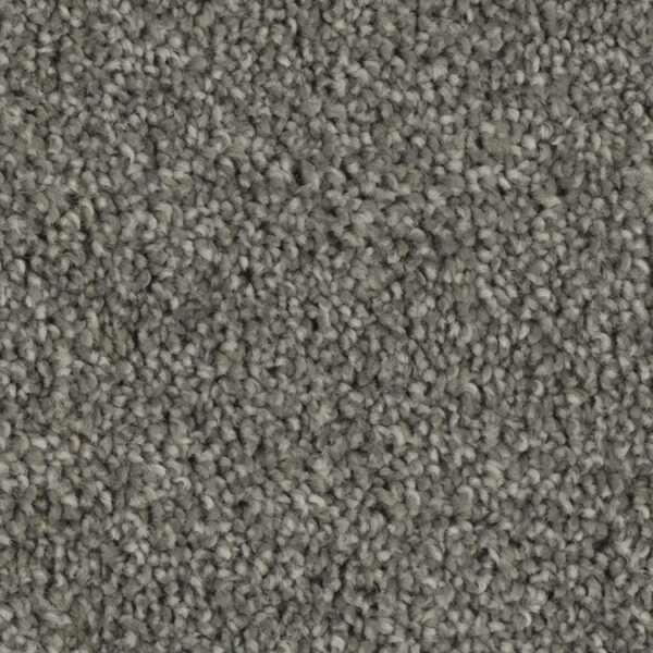 Phenix Tempt Carpet - Image 10