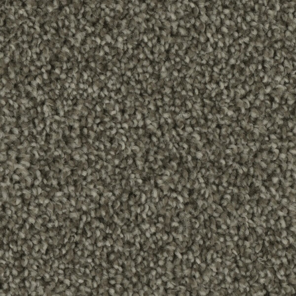 Phenix Tempt Carpet - Image 11