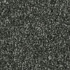 Phenix Tempt Carpet