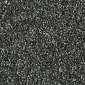 Phenix Tempt Carpet
