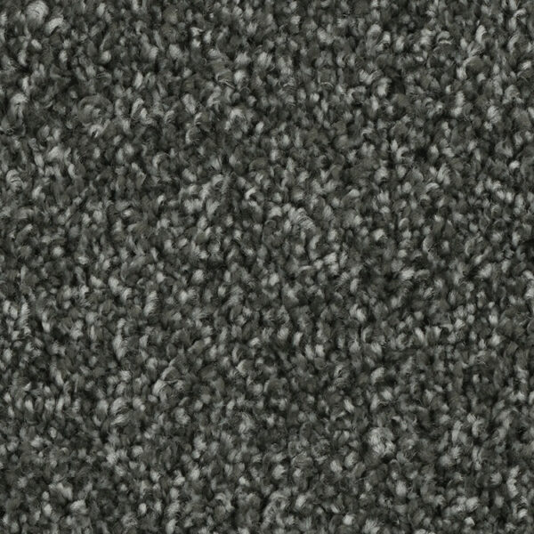 Phenix Tempt Carpet