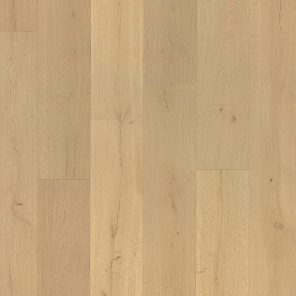 Karastan Belhancourt Waterproof Laminate - Image 5