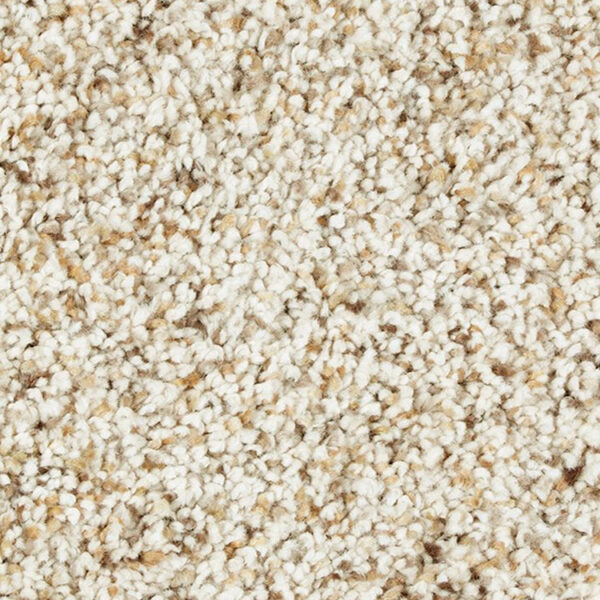 Mohawk SmartStrand Carpet - Image 6