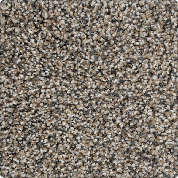 Karastan Magnetic Allure Carpet
