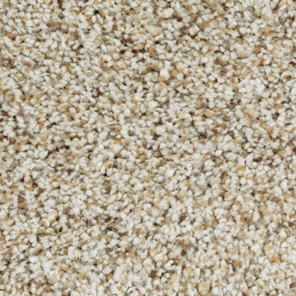Mohawk SmartStrand Carpet - Image 8